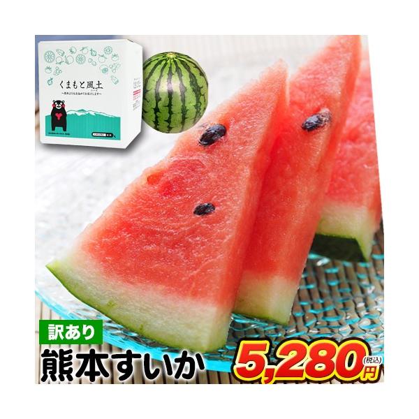 果物 旬 6月 みんな探してる人気モノ 果物 旬 6月 食品