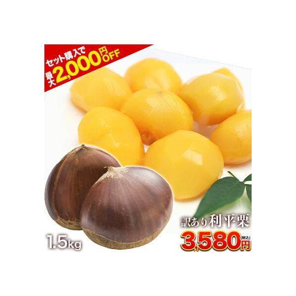 訳あり 利平栗 1.5kg 送料無料 熊本県産 栗 2L〜Lサイズ 生栗 モンブラン 幻の栗 くり 皮むき 栗ご飯 渋皮煮 高級 和栗  熊本 《9月下旬-10月上旬に出荷予定》