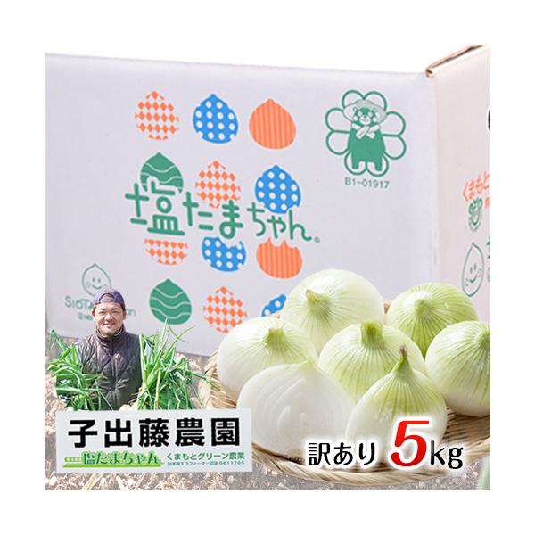 塩たまちゃん 5kg 送料無料 子出藤 ねでふじ さん の 訳あり 塩玉ねぎ 熊本県産 新玉ねぎ 1セット 5l 2sサイズ不選別 5月中旬 6月上旬頃より順次出荷 Buyee Buyee Japanese Proxy Service Buy From Japan Bot Online
