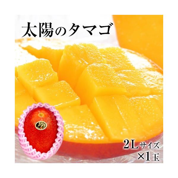 満点の満点の宮古島産 摘果マンゴー 10Kg（小玉多め) 果物