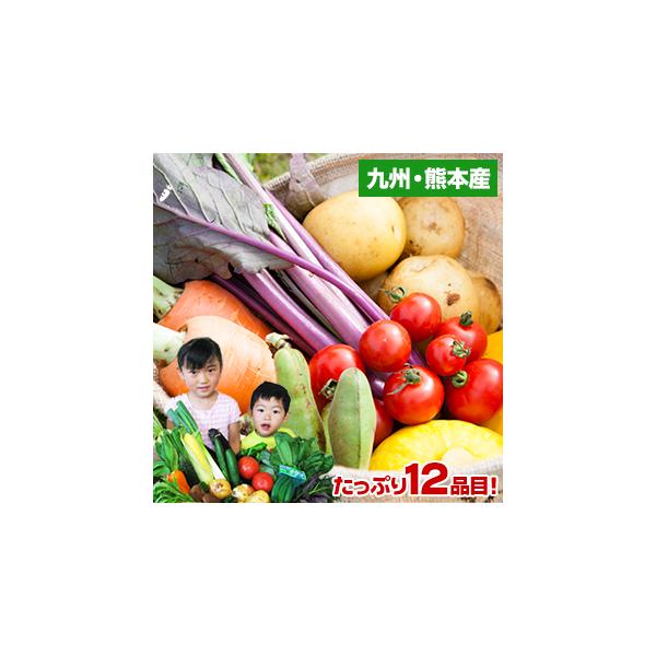 ■商品情報：九州（熊本）の安心・安全な自家用野菜セット■内容：熊本県産を中心とした野菜12品目※お届け商品のセット内容例よりたっぷり12品目お届けとなります。お野菜は相場変動が激しいため、その日の入荷状況に合わせ変動いたします。セット内容例...