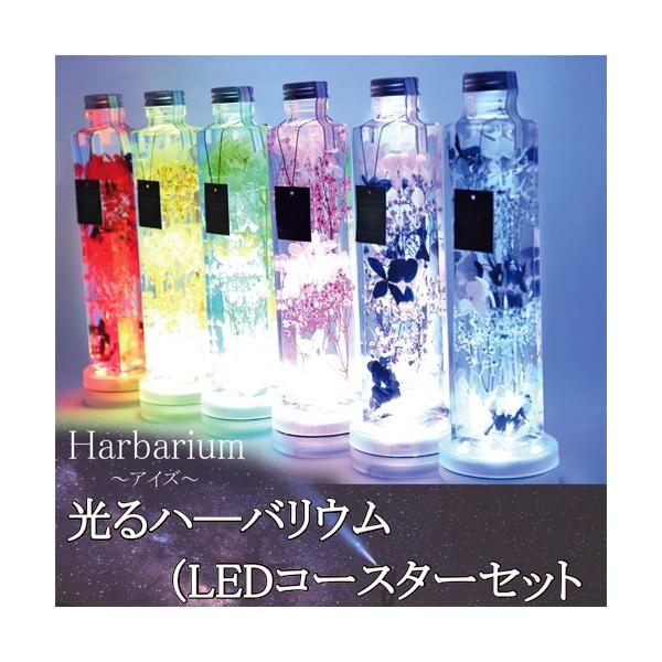 n[oE@̓@Mtg@@MtgobO@ Herbarium  a v[g Vj oYj@q󓋍ډ\