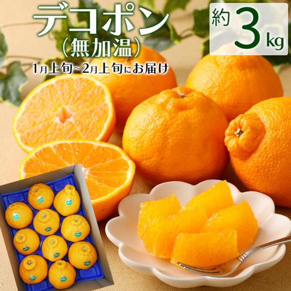 デコポンは種がほとんどなく、手で剥いて袋ごとたべられます。糖度が高く、バランスの良い甘味と酸味が魅力です。へたの部分へたの部分がポッコリと膨らんだ愛嬌のある形状も、魅力の一つです。当商品はJAあしきた管内のデコポンです。選果場、糖度センサー...