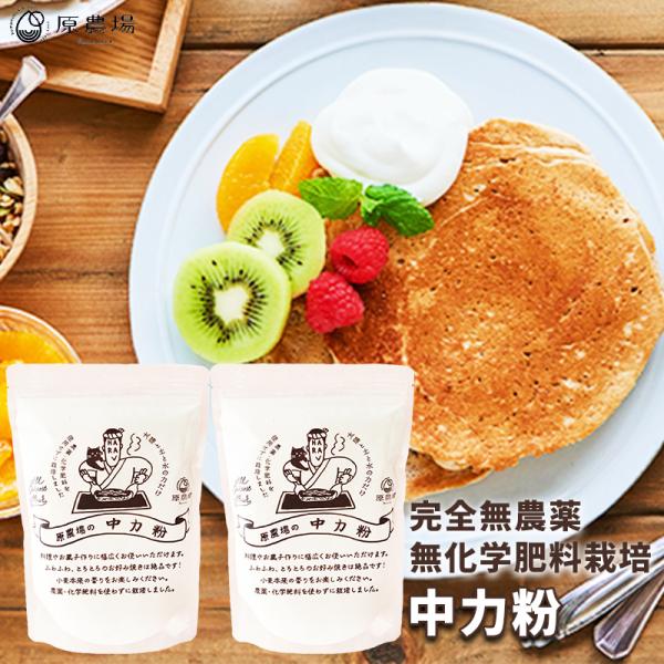 国産オーガニック 中力粉800ｇ（400ｇ×2袋）完全無農薬・化学肥料不使用 無化学肥料栽培の中力粉 原農場 有機JAS 熊本県産小麦 中力小麦粉 品種：チクゴイズミ