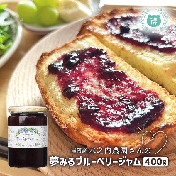 阿蘇木之内農園　夢みるブルーベリージャム400ｇ　熊本県産ブルーベリージャム　熊本　お土産　ご当地　ヨーグルトと供に
