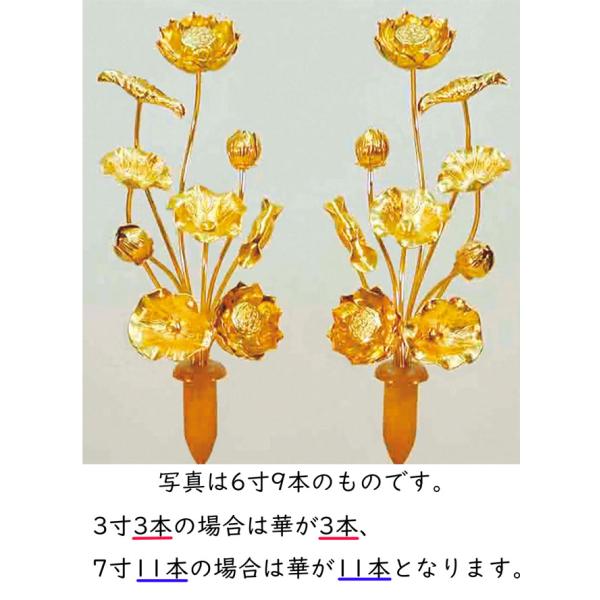 kumano-butu_10003484
