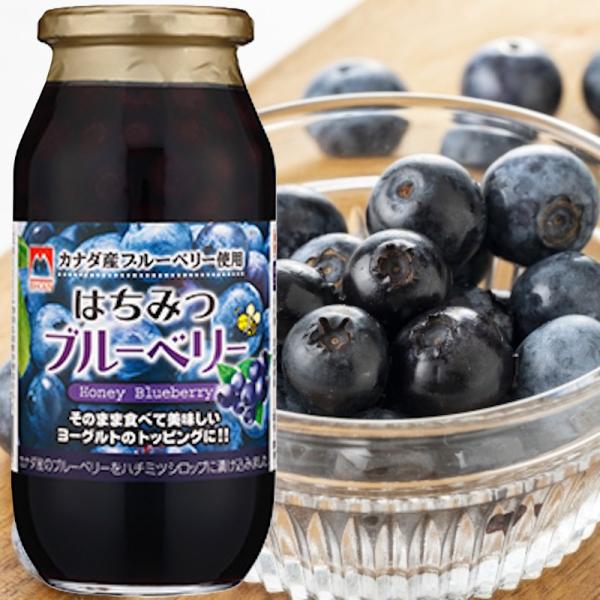 お取り寄せ商品】【加藤美蜂園本舗】＼カナダ産ブルーベリー使用
