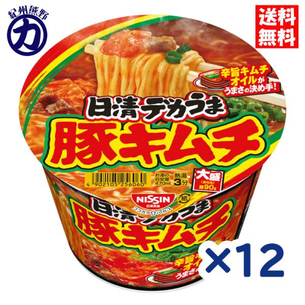 日清カップラーメンセット40食（豚キムチ、味噌、カレー等） kumano-nakatani_4902105246054k