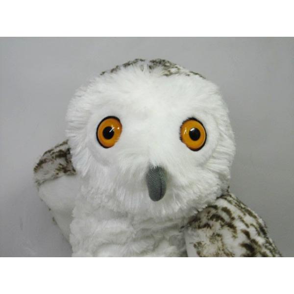 tNÊʂ WILDREPUBLIC(ChpubN) VtNE12