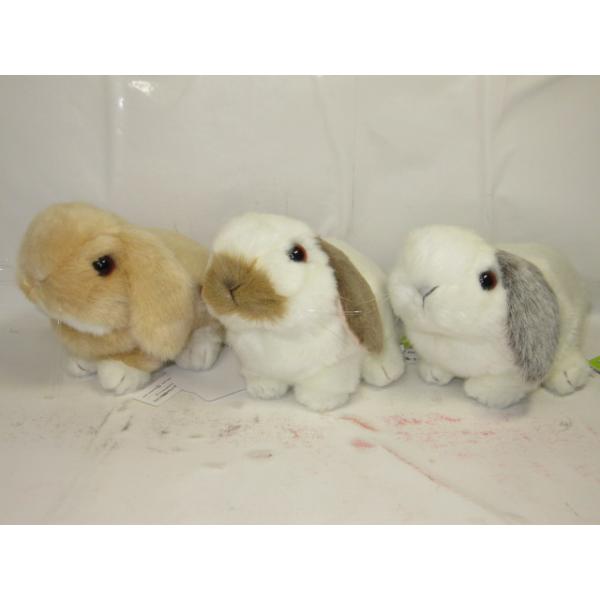 kumashop90_yos0034