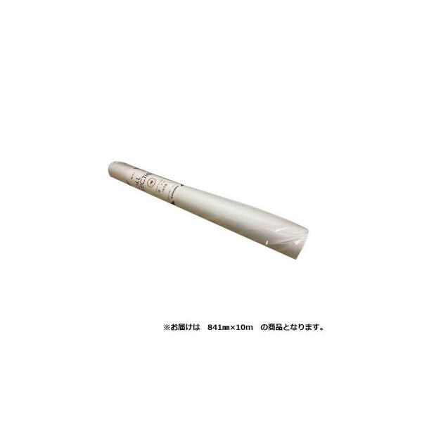 オストリッチダイヤ 1ミリ方眼紙ロールセクション 841mm×10m 1本 81