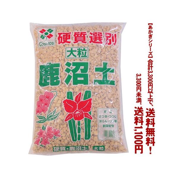 ((t))((V[Y))Iʎy@嗱 18L