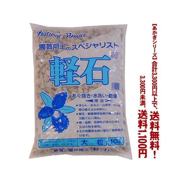 ((t))((V[Y))y΁@嗱 10L