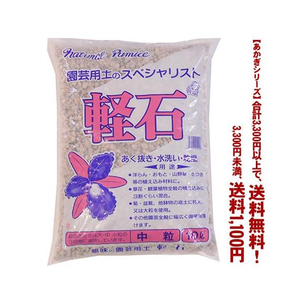 ((t))((V[Y))y΁@ 10L