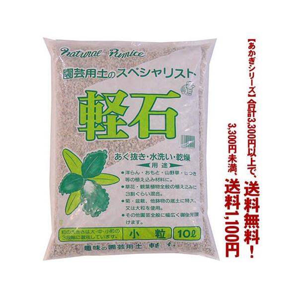 ((t))((V[Y))y΁@ 10L