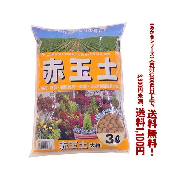 ((t))((V[Y))ԋʓy@嗱 3L