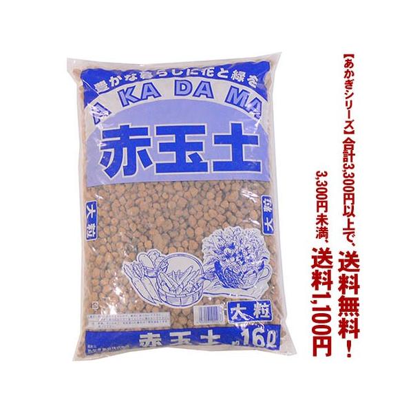 ((t))((V[Y))ԋʓy@嗱 16L