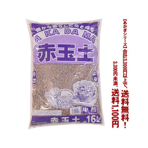 ((t))((V[Y))ԋʓy@ 16L