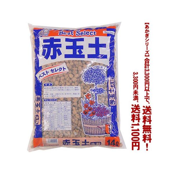 ((t))((V[Y))ԋʓy@嗱 14L