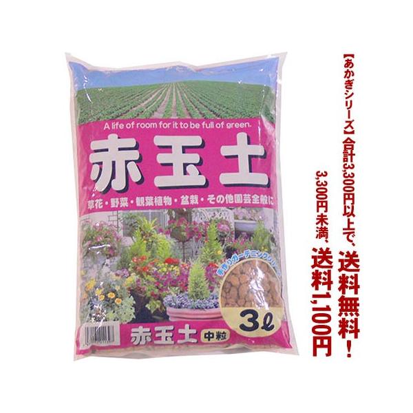 ((t))((V[Y))ԋʓy@ 3L