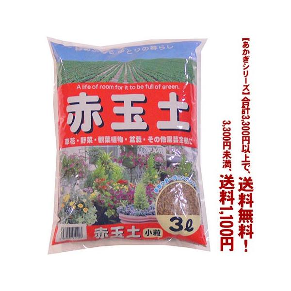 ((t))((V[Y))ԋʓy@ 3L