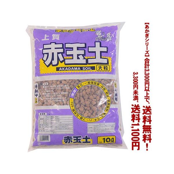 ((t))((V[Y))ԋʓy@嗱 10L