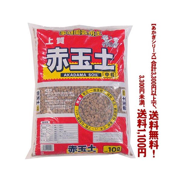 ((t))((V[Y))ԋʓy@ 10L