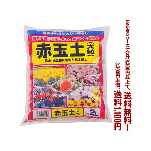 ((t))((V[Y))ԋʓy@嗱 2L