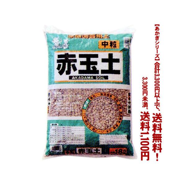 ((t))((V[Y)) ԋʓy@ 18L