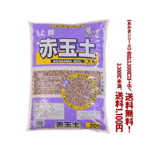 ((t))((V[Y))ԋʓy@嗱 20L