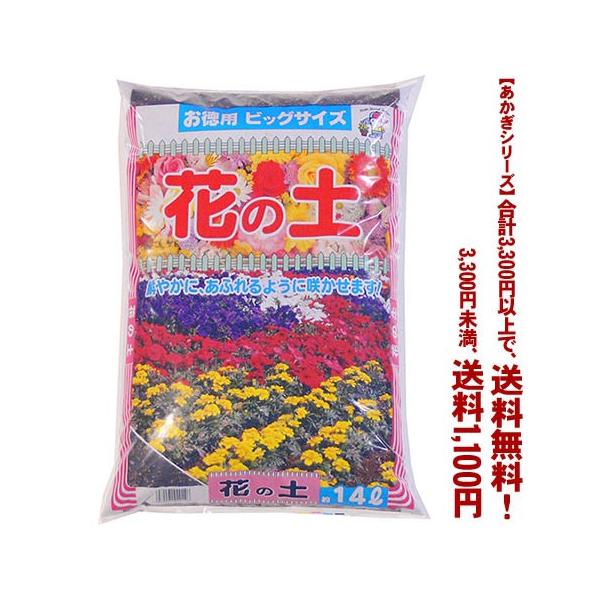 ((t))((V[Y))Ԃ̓y 14L