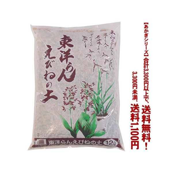 ((t))((V[Y))mEт˂̓y 12L