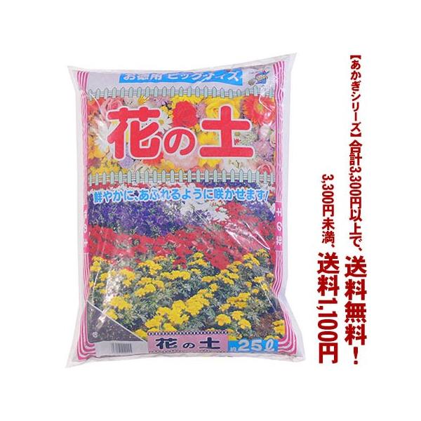 ((t))((V[Y))Ԃ̓y 25L