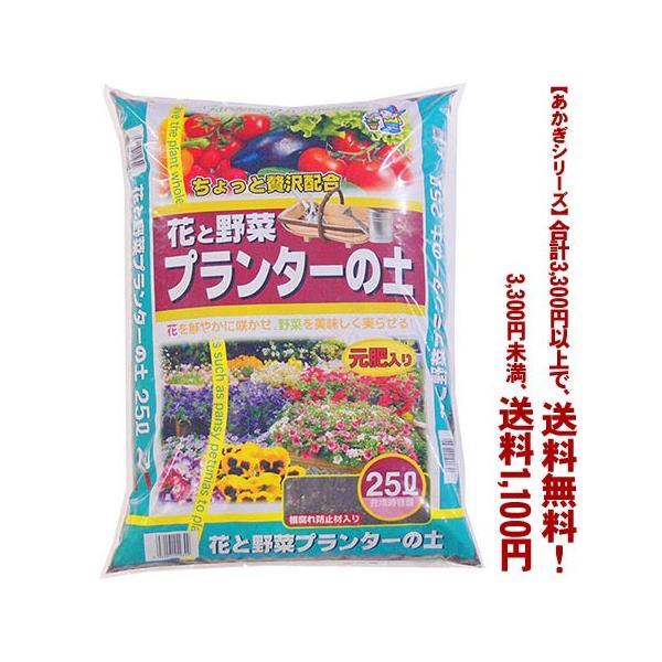 ((t))((V[Y))v^[̓y 25L