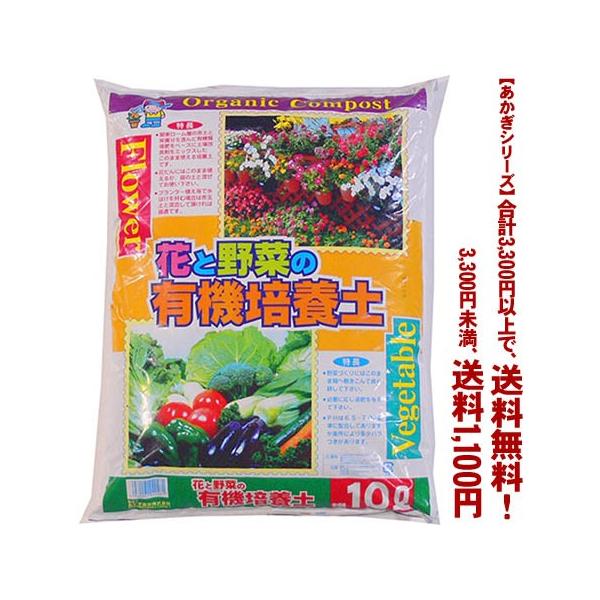 ((t))((V[Y))ԂƖ؂̗L@|{y@1 10L