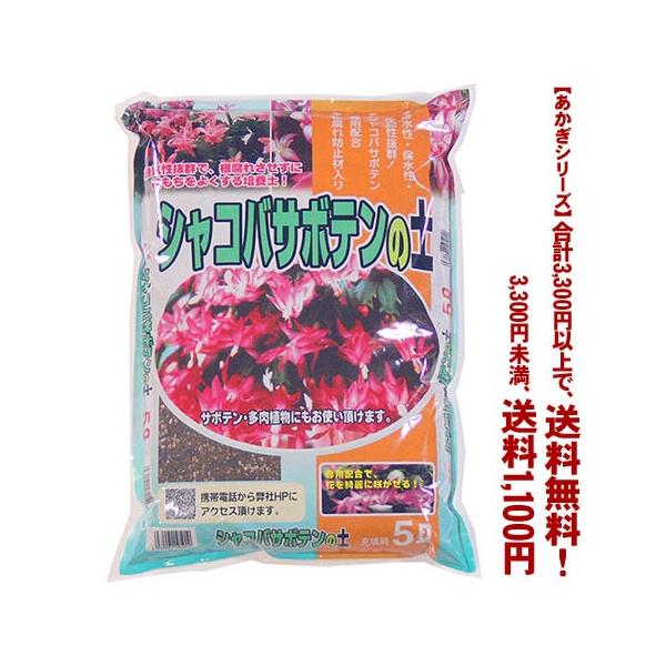 ((t))((V[Y))VRoT{e̓y 5L