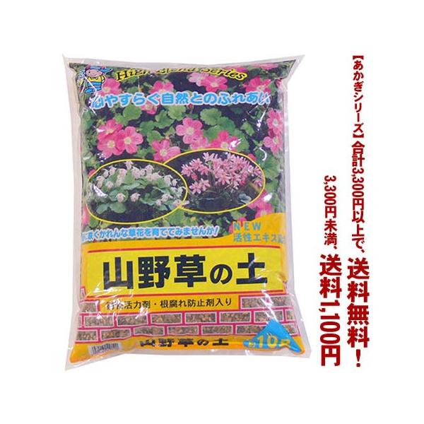 ((t))((V[Y))R쑐̓y 10L