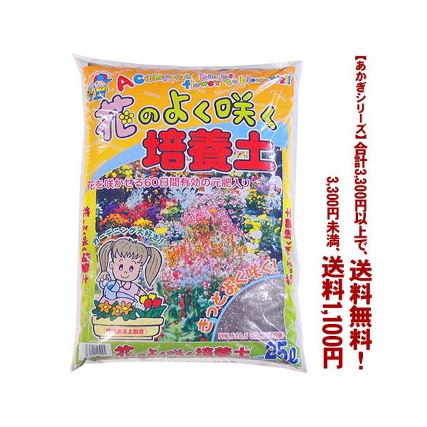 ((t))((V[Y))Ԃ̗ǂ炭|{y 25L