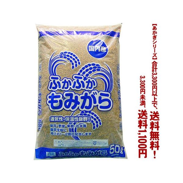 ((t))((V[Y))Yӂӂ@݂ 50L