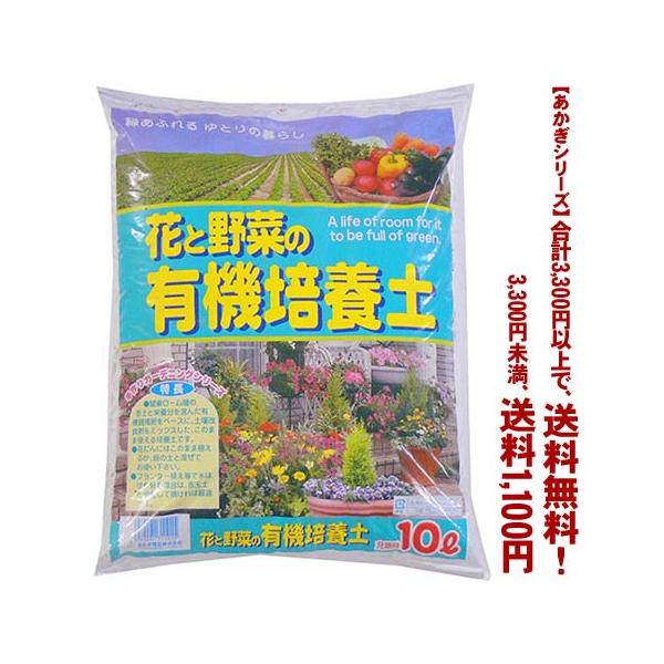 ((t))((V[Y))ԂƖ؂̗L@|{y@2 10L