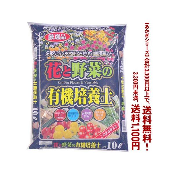 ((t))((V[Y))ԂƖ؂̗L@|{yJVE 10L