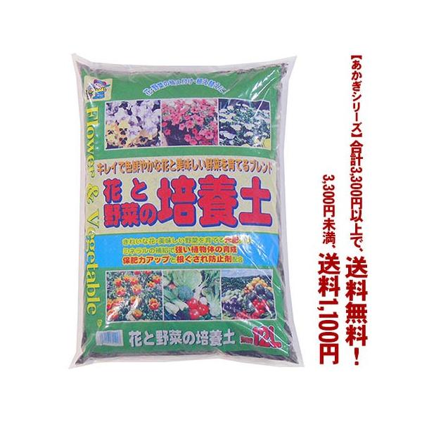 ((t))((V[Y))ԂƖ؂̔|{y 12L