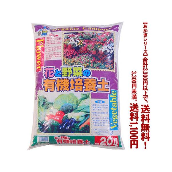 ((t))((V[Y))ԂƖ؂̗L@|{y@1 20L