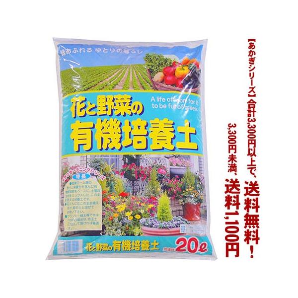 ((t))((V[Y))ԂƖ؂̗L@|{y@2 20L