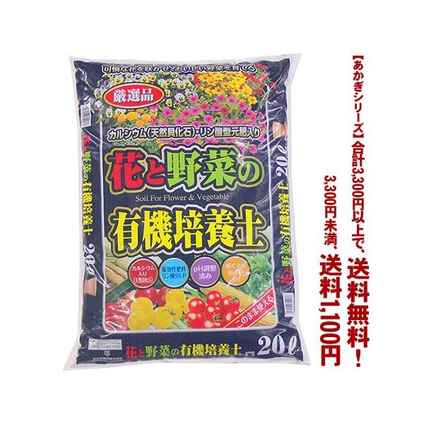 ((t))((V[Y))ԂƖ؂̗L@|{yJVE 20L