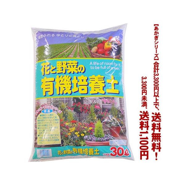 ((t))((V[Y))ԂƖ؂̗L@|{y@2 30L