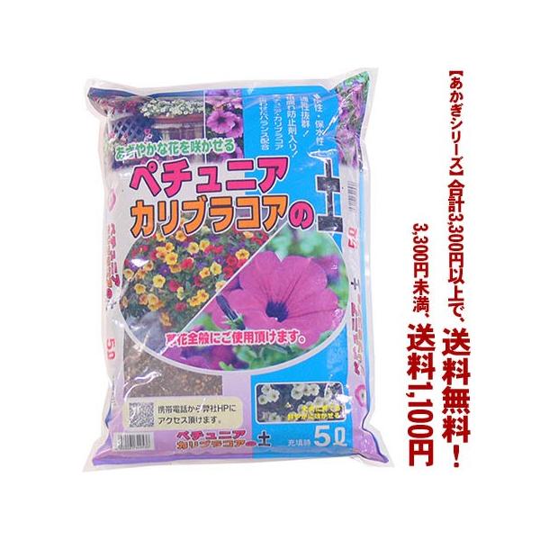 みみ　水彩画　雀とカリブラコア　値段は600円です 楽天市場】カリブラコア属の通販