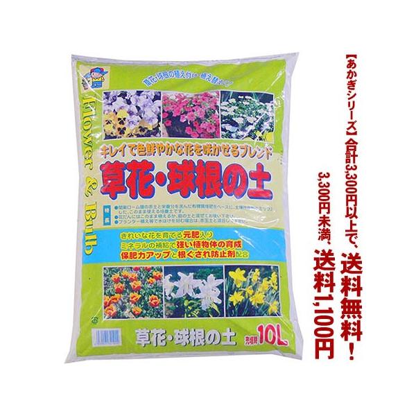 ((t))((V[Y))ԁE̓y 10L