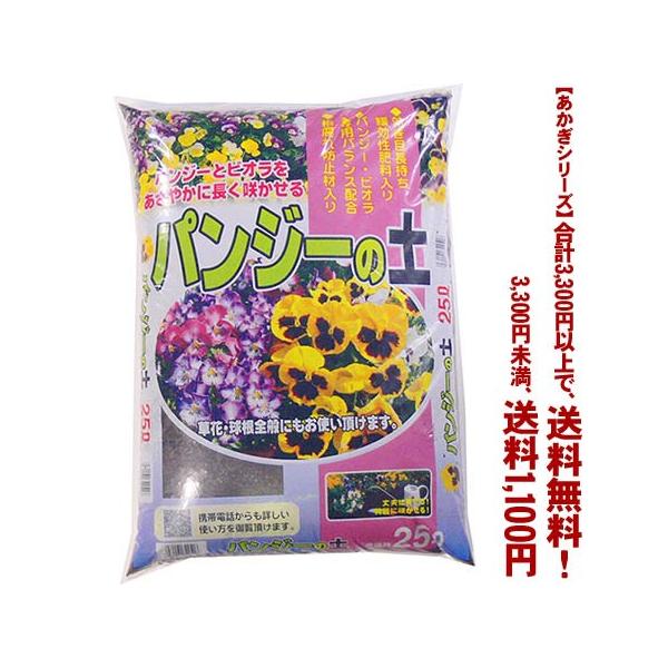 ((t))((V[Y))pW[ErI̓y 25L