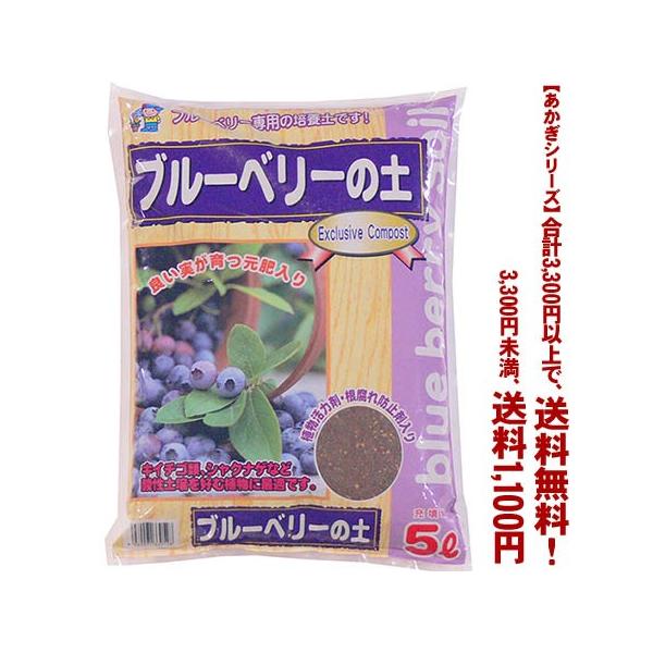 ((t))((V[Y))u[x[̓y 5L